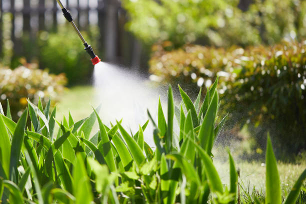 24/7 Emergency Cockroach Control experts in Oxford, OH